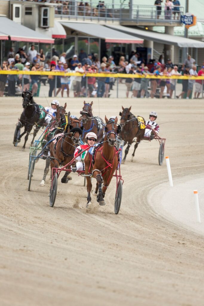 standardbred horses rounding the first corner with fans cheering