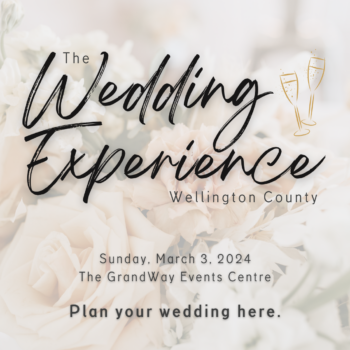 Wedding experience info card